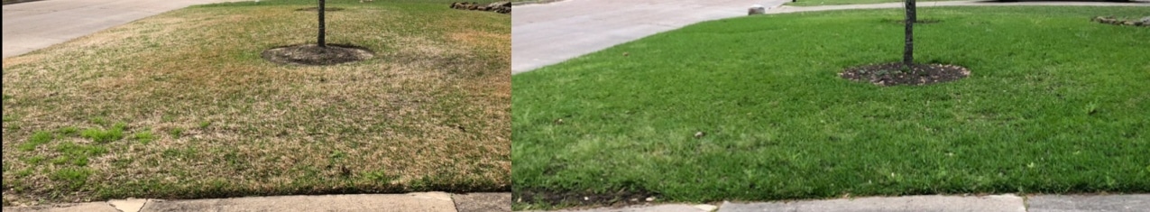 winter fertilizing before and after