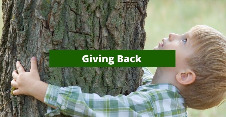 givingbackfortreecare2020