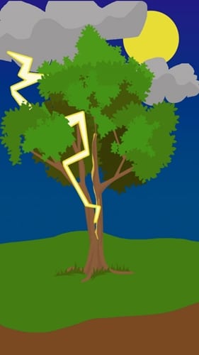 lightening-striking-a-tree-in-houston