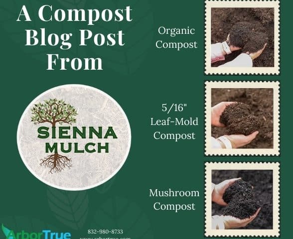 A Compost Blog Post From Sienna