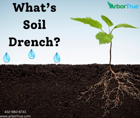 What’s Soil Drench