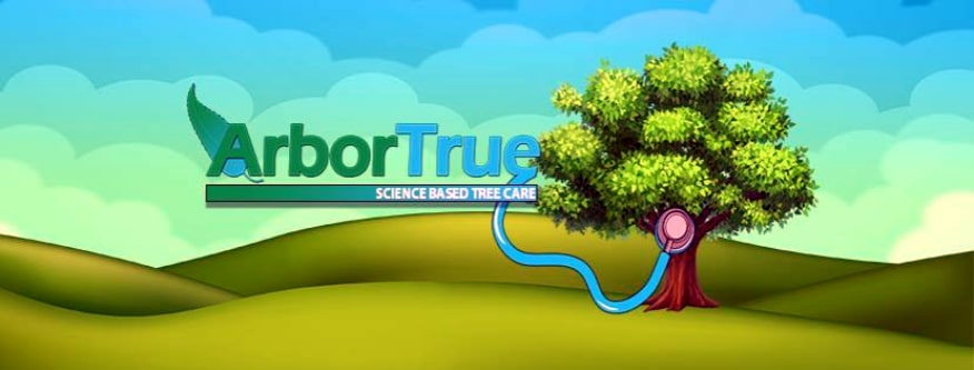 arbortrue houston tx