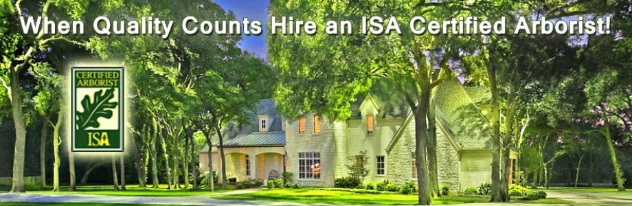 hire a certified arborist in the Houston area