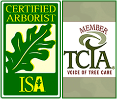 ISA and TCIA tree service association logos