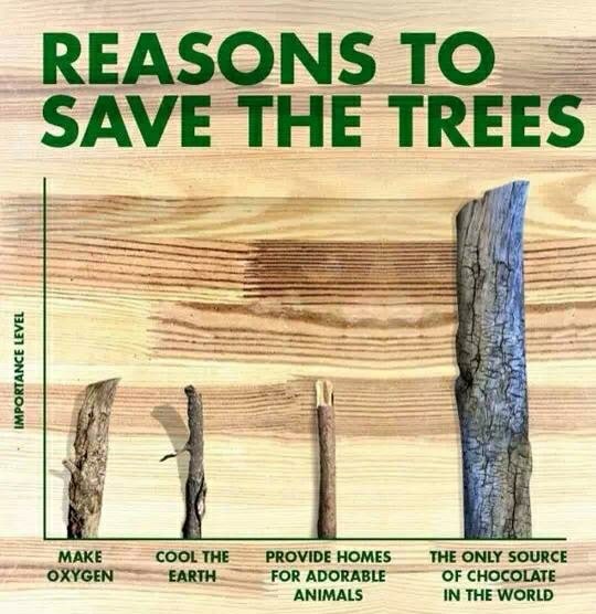reasons to save houston area trees