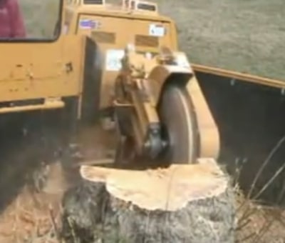stump grinding in Houston TX