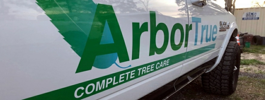tree service company in Kingwood TX