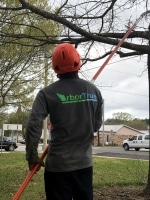 tree trimming in Houston TX