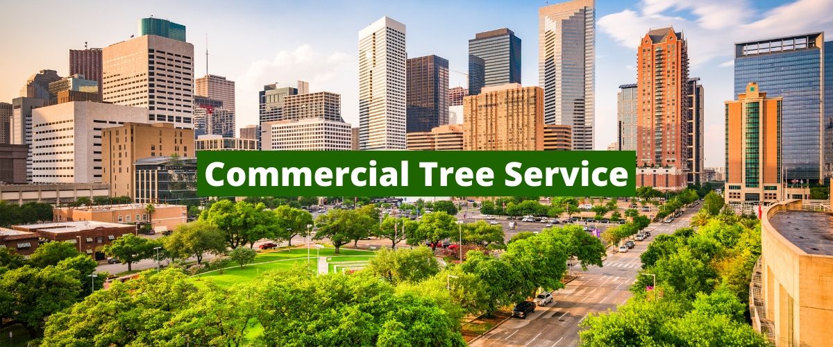 commercial tree service houston tx