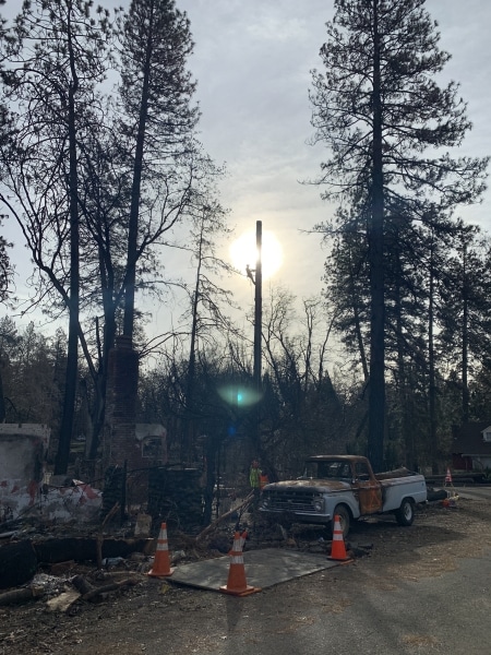 commercial-tree-service-in-action