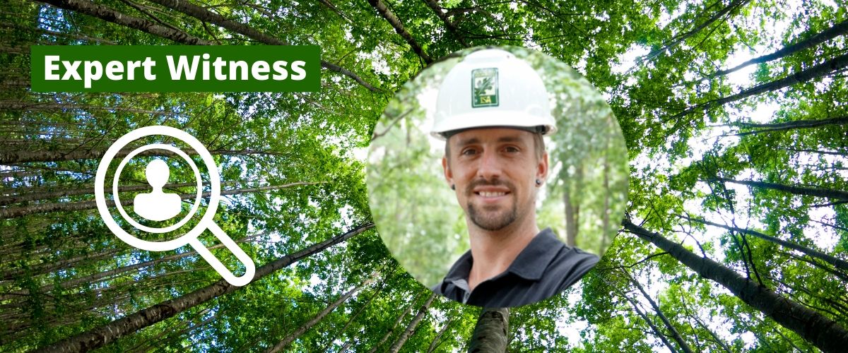 Expert Witness For The Tree Industry