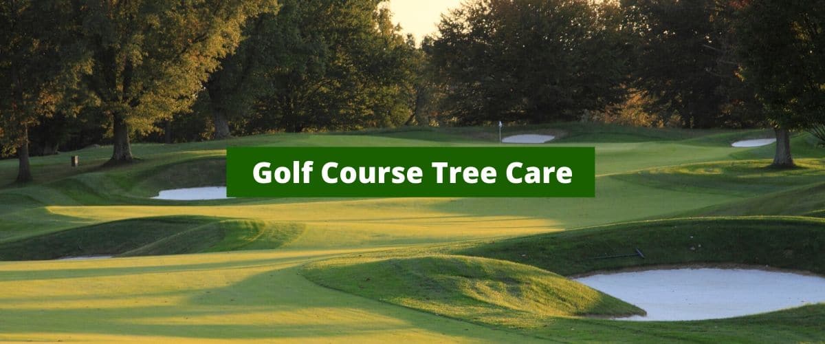 Golf Course Tree Care