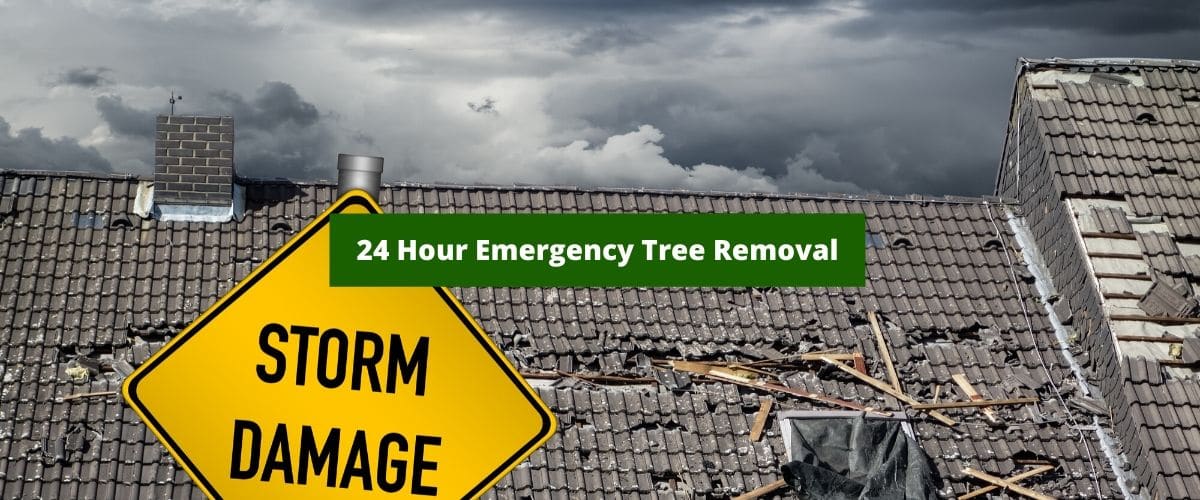 24 Hour Emergency Tree Service