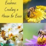 Beehave Creating a Haven for Bees Blog Image