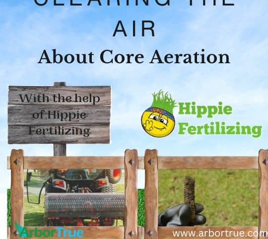 Clearing the Air Final Blog