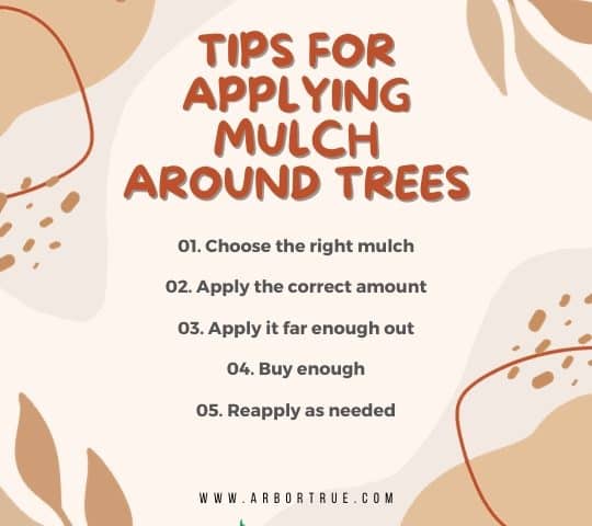Tips for Applying mulch around trees