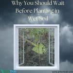 Why You Should Wait Blog Post Image