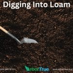 Digging Into Loam