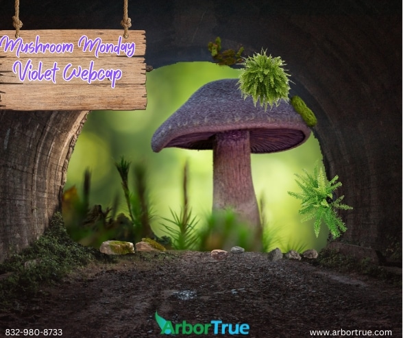 Violet Webcap