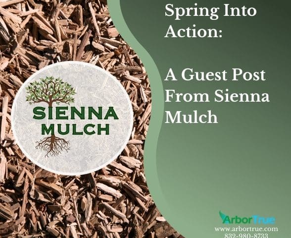 Sienna Mulch Guest Post