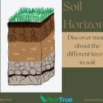 Soil Horizons