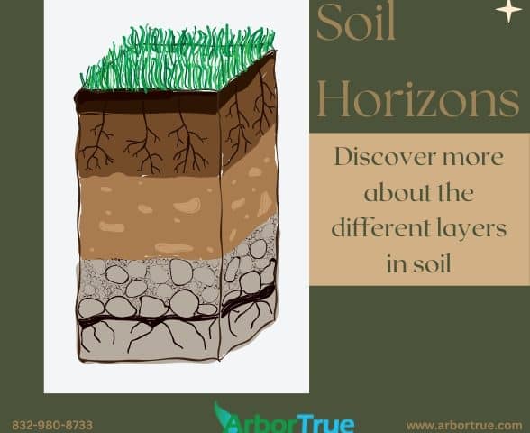 Soil Horizons