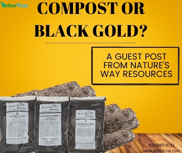 Compost or Black Gold