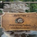 Get to know FFP