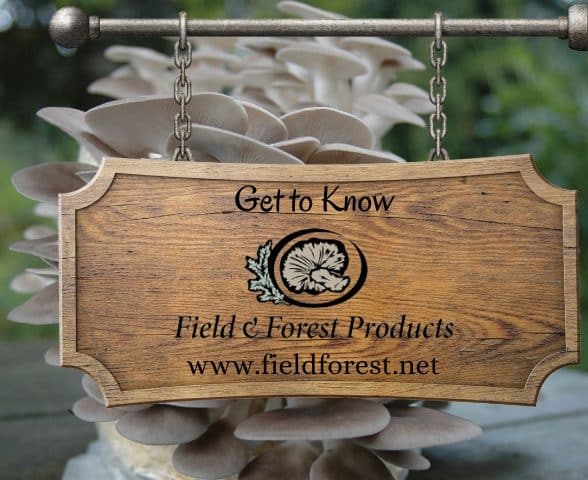 Get to know FFP