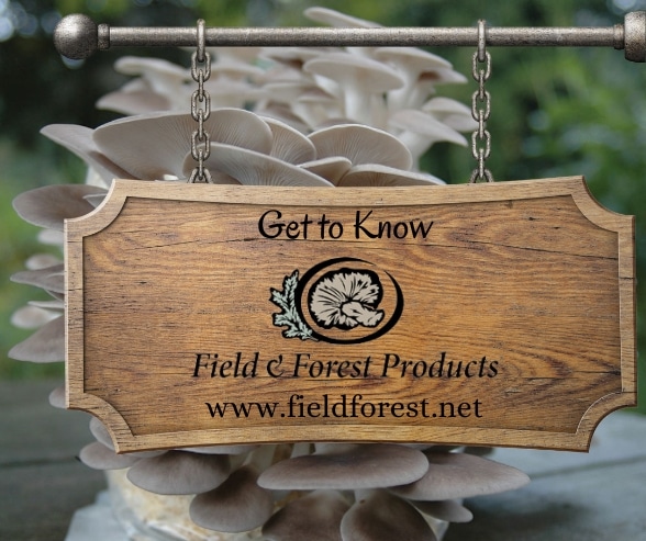 Get to know FFP