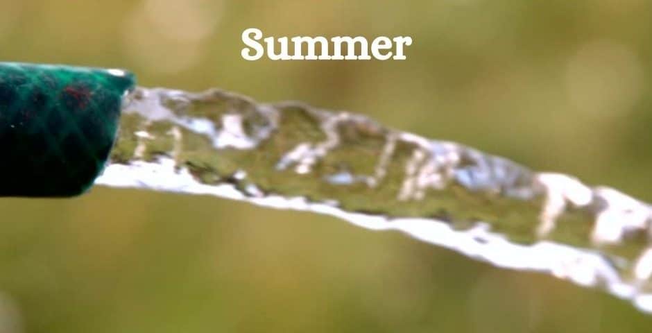 Ten Things to Keep in Mind as You Water Your Trees This Summer