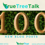 New Blog Posts