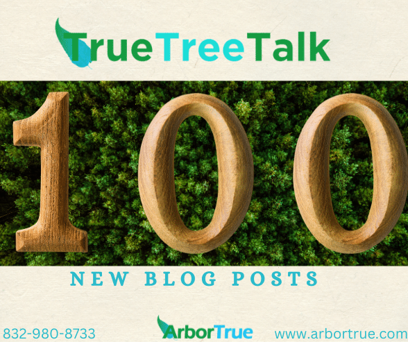 New Blog Posts