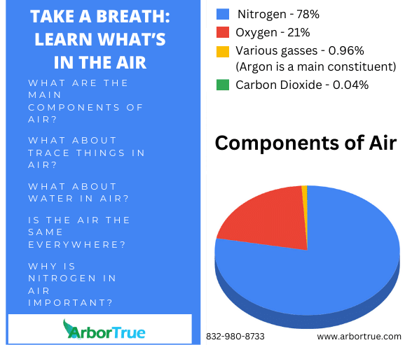 Take a Breath Learn What's in Air